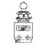 Công tắc chuyển mạch Micro switches toggle 13AT280