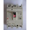 ELCB Mitsubishi NV400-SW(TD)-3P-250A-45KA
